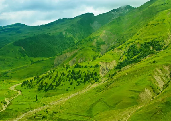 緑の山々 — ストック写真