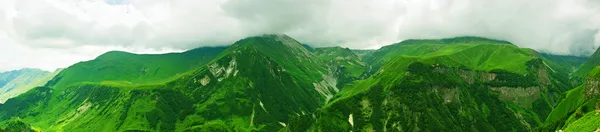 녹색 산 파노라마 — 스톡 사진