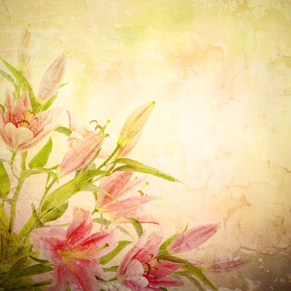 Rosa Lilien Hintergrund — Stockfoto