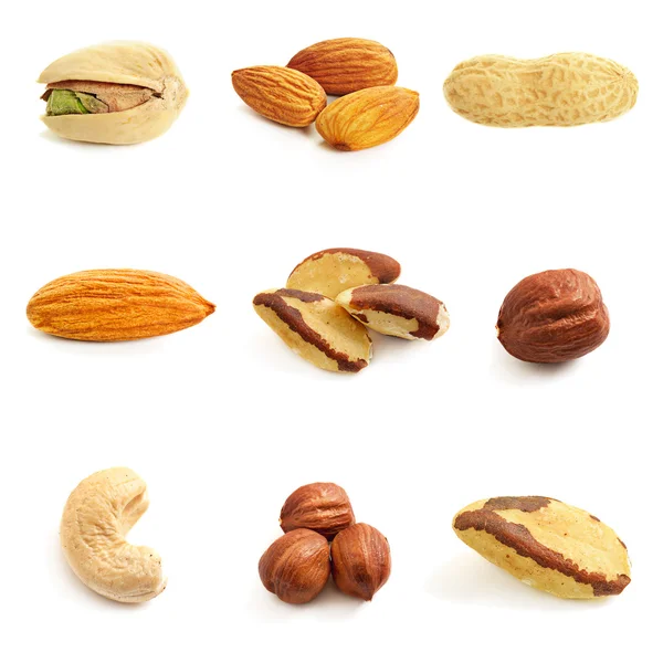 Ořechy kolekce — Stock fotografie