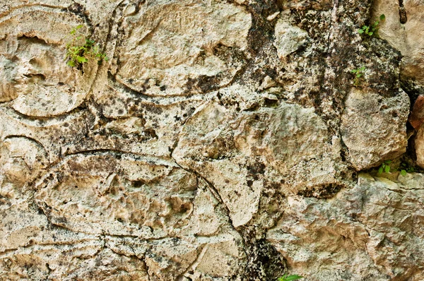 Antieke bakstenen muur — Stockfoto