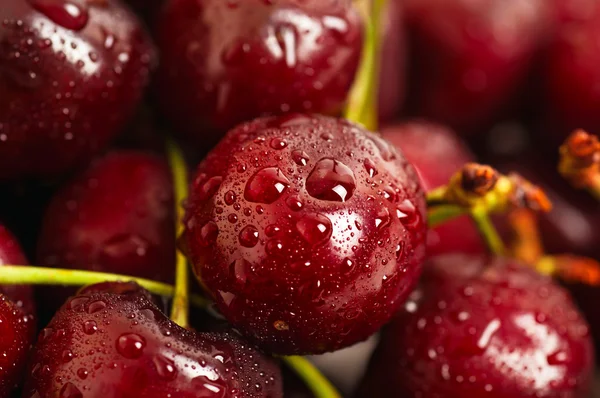 Sweet cherry background