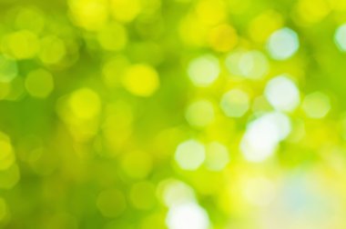 doğal bokeh