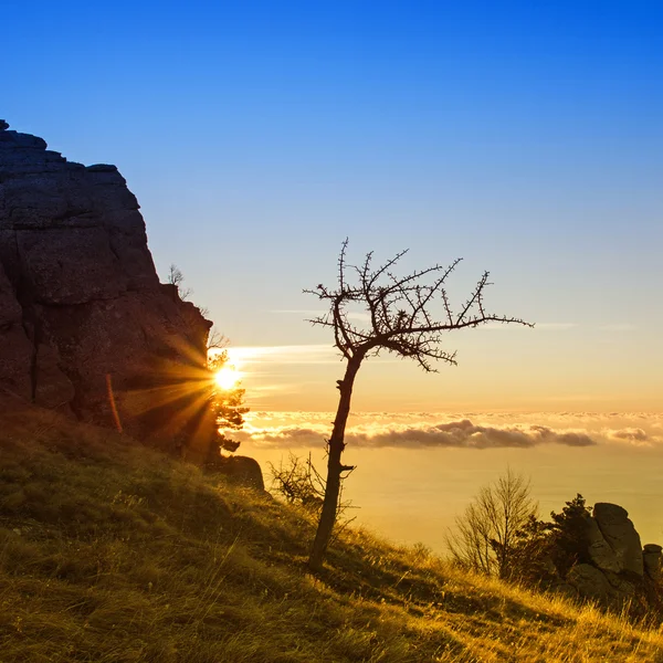 Mountain autumn sunrise — Stock Photo, Image