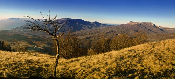 Mountain autumn sunrise — Stock Photo, Image