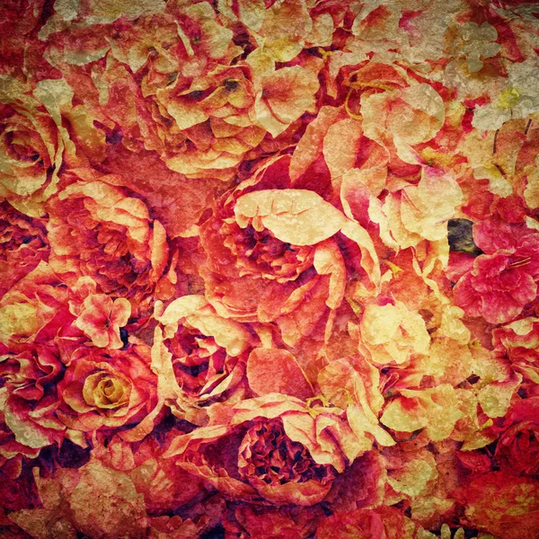 Rose fond — Photo