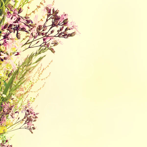 Blommig påsk bakgrund — Stockfoto