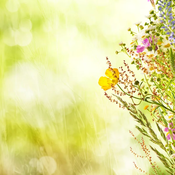 Fundo de férias florais — Fotografia de Stock