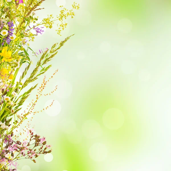 Fundo de férias florais — Fotografia de Stock