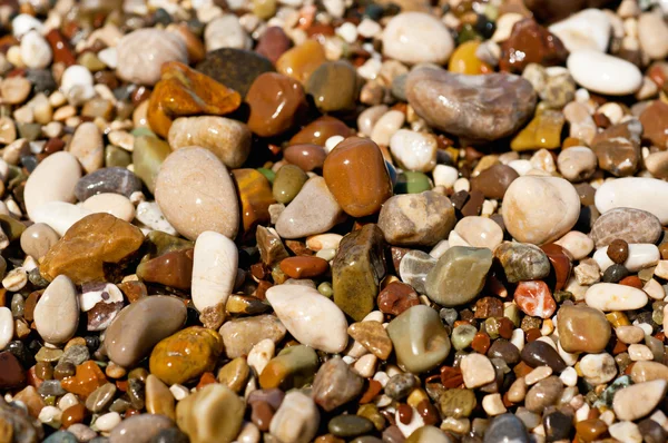 Sea pebble — Stock Photo, Image