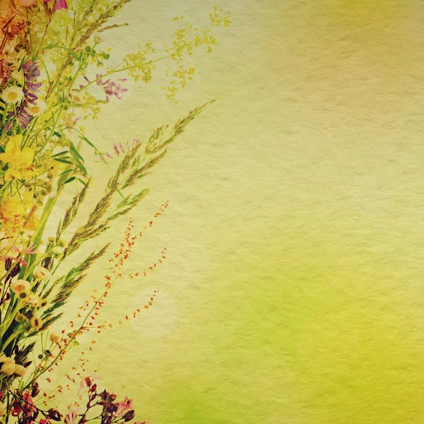 Floral holiday background — Stock Photo, Image