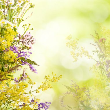 çiçek Paskalya arka plan