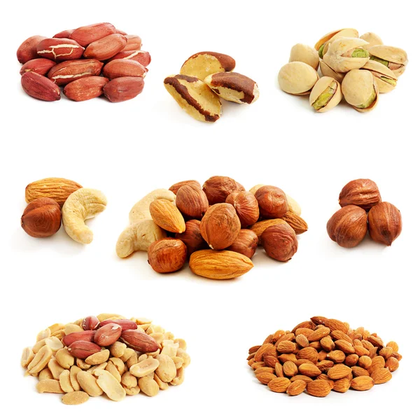 Nuts collection — Stock Photo, Image