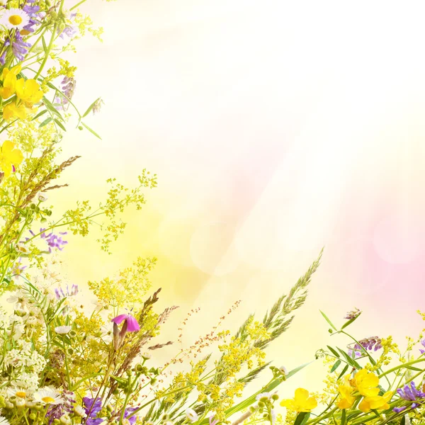 花卉复活节背景 — 图库照片