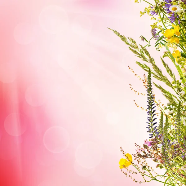 Fondo floral de Pascua — Foto de Stock