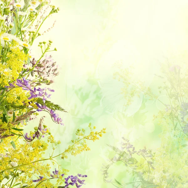 花卉复活节背景 — 图库照片