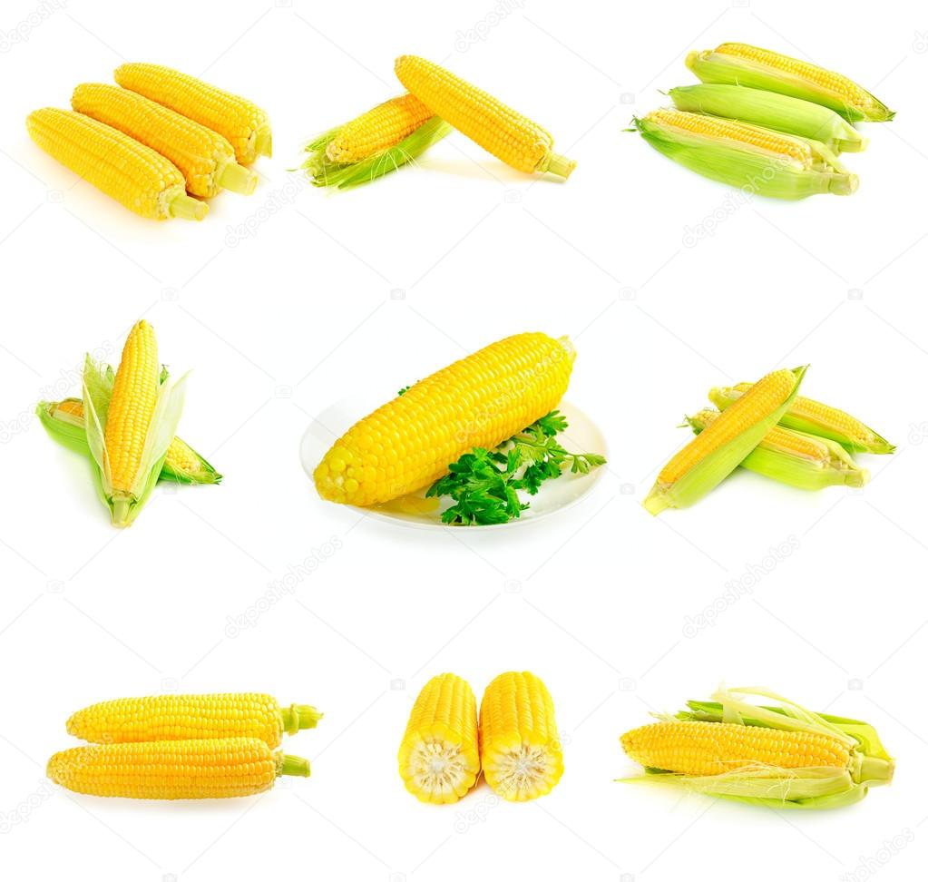 Corn cobs set