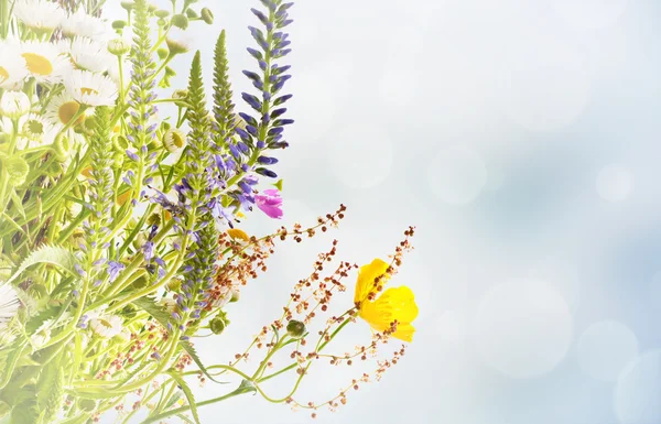 Fundo de férias florais — Fotografia de Stock