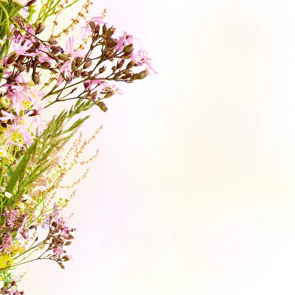 花のイースターの背景 — ストック写真