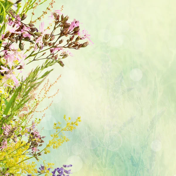 Floral easter background — Stock Photo, Image