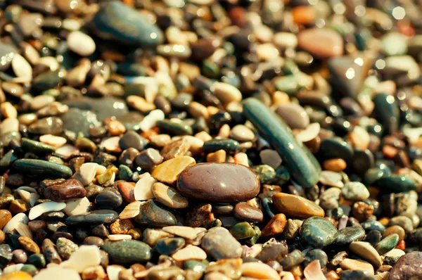 Sea pebble — Stock Photo, Image