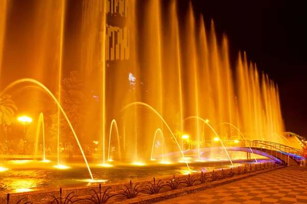 Batumi fontana spettacolo — Foto Stock