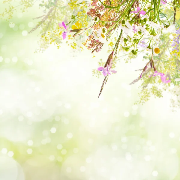 Floral easter background — Stock Photo, Image