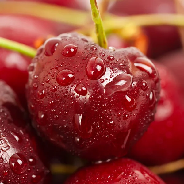 Sweet cherry tło — Zdjęcie stockowe