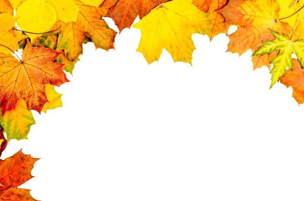 Autumn leaves frame — Stock Photo, Image