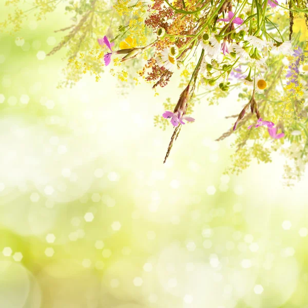 Floral easter background — Stock Photo, Image