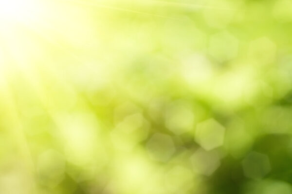 Природный боке
