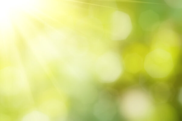 Природный боке
