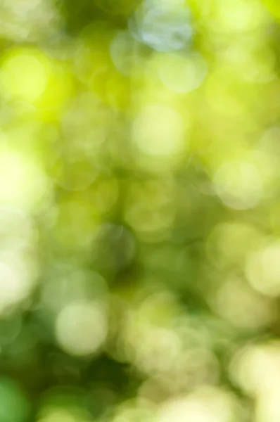 Natural bokeh — Stock Photo, Image