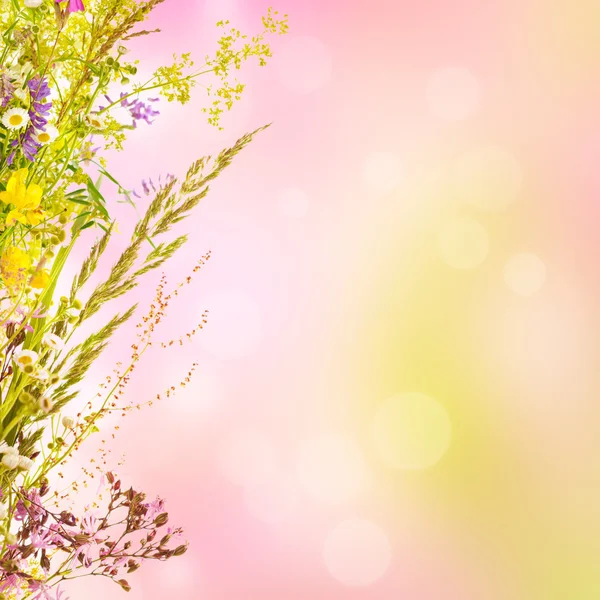 Floral holiday background — Stock Photo, Image