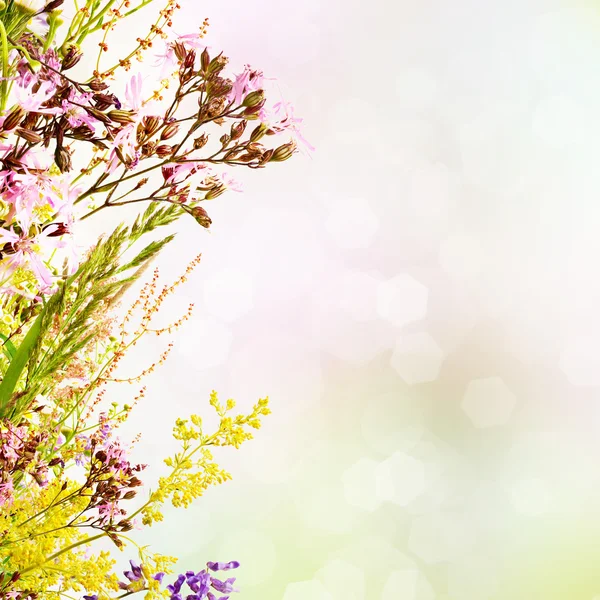 Floral easter background — Stock Photo, Image