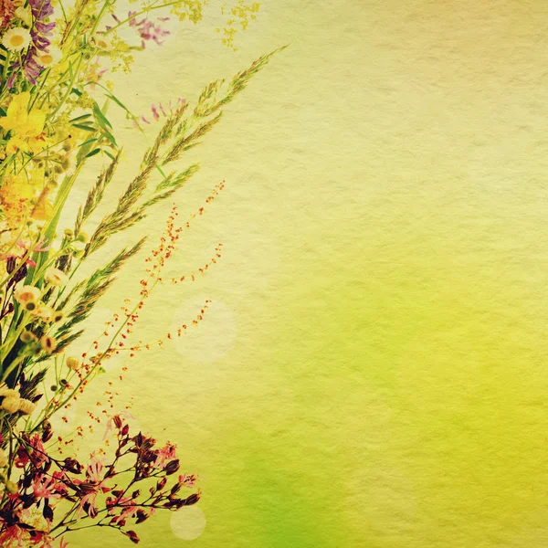 Floral holiday background — Stock Photo, Image