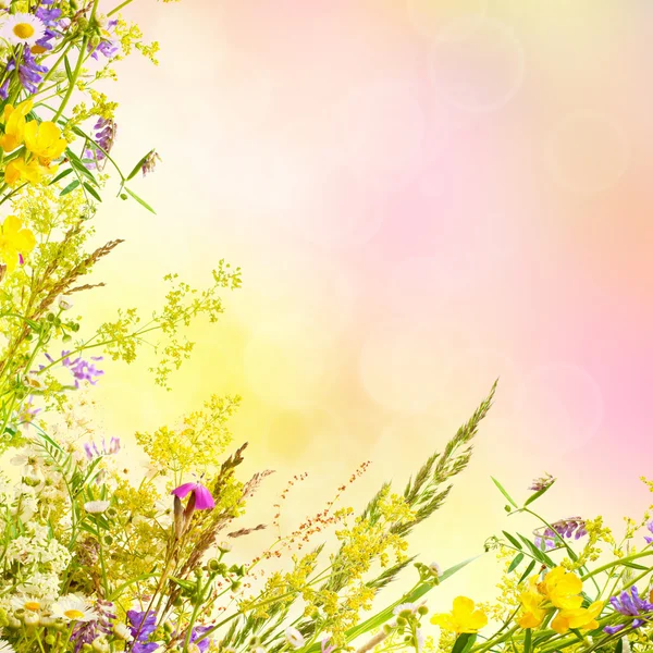 Floral φόντο Πάσχα — Φωτογραφία Αρχείου