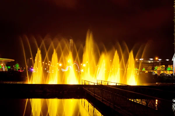 Batumi fountain show — Stock Photo, Image