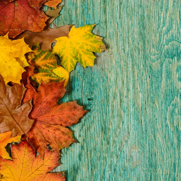 秋のフレーム — ストック写真