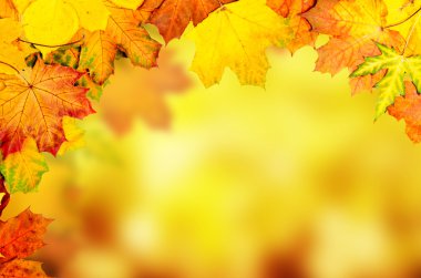 Sonbahar yaprakları çerçevesi