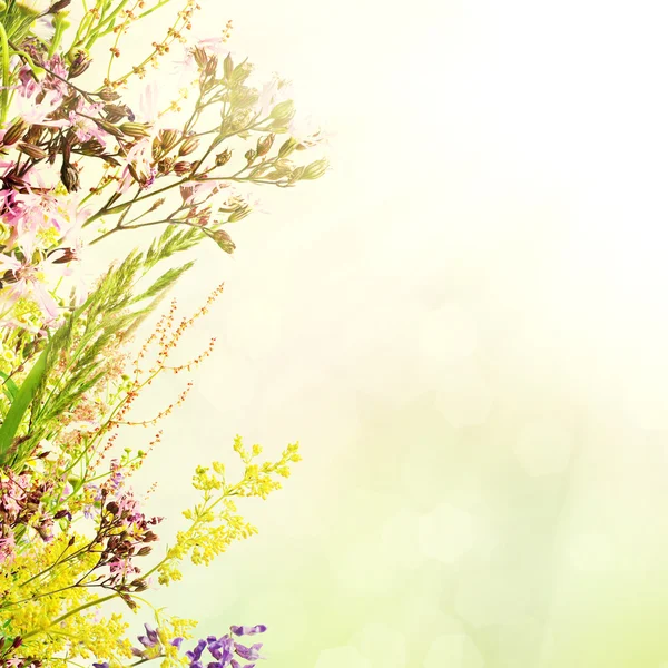 Fondo floral de Pascua — Foto de Stock