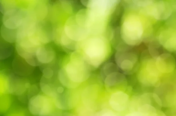 Natural bokeh — Stock Photo, Image