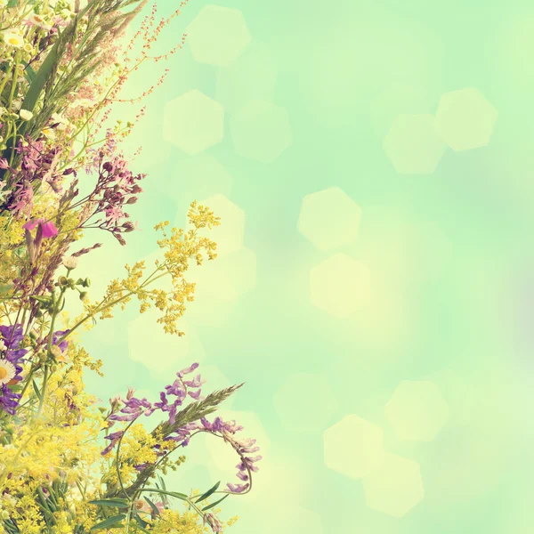 Floral φόντο Πάσχα — Φωτογραφία Αρχείου