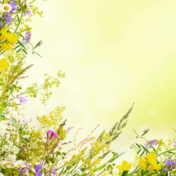 Цветочный пасхальный фон — стоковое фото