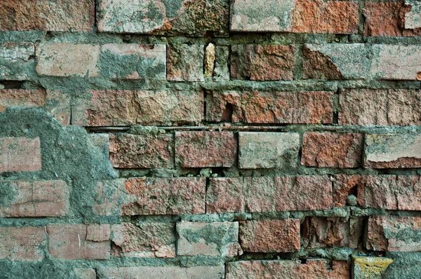 Old wall  texture — Stock Photo, Image