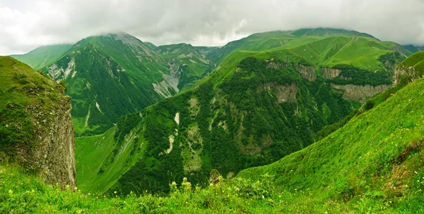 Yeşil dağların Panoraması — Stok fotoğraf