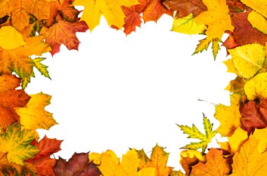 Sonbahar yaprakları çerçevesi
