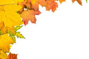 Sonbahar yaprakları çerçevesi