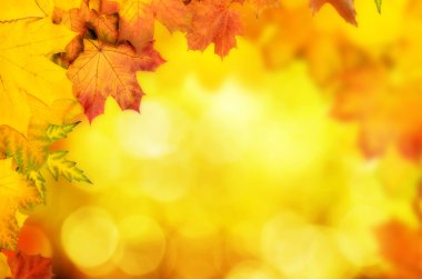 Sonbahar yaprakları çerçevesi