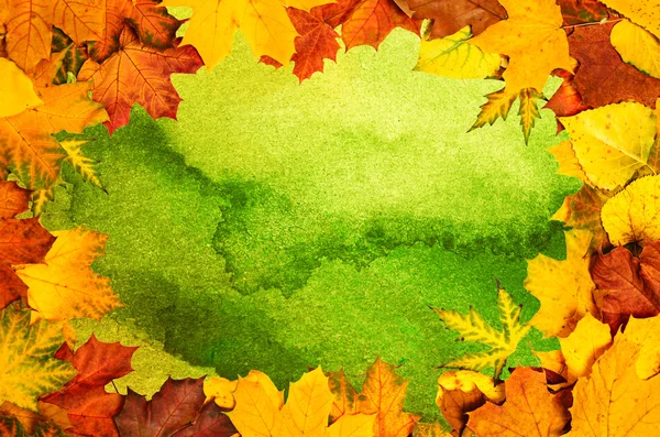 Foglie d'autunno telaio — Foto Stock